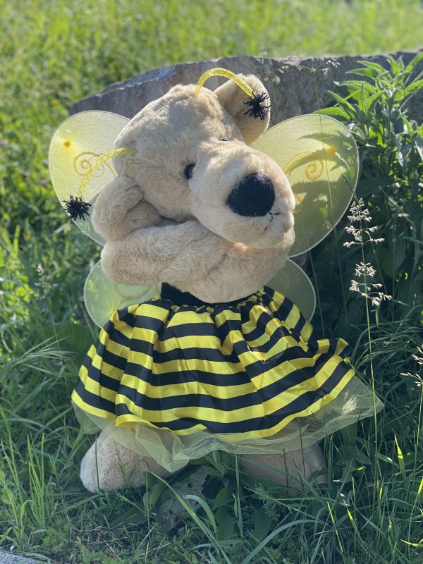 Bärino Bär Britta Biene 60 cm Künstlerbär