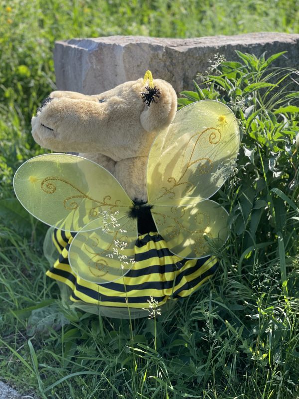 Bärino Bär Britta Biene 60 cm Künstlerbär – Bild 3