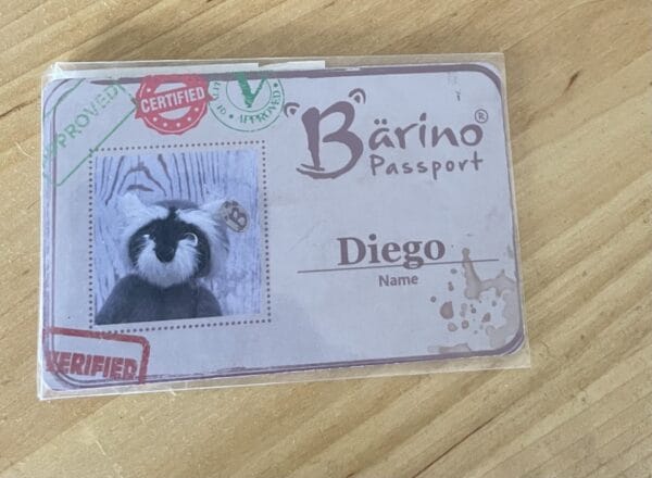 Bärino Waschbär Diego 10 cm Künstlerbär – Bild 10