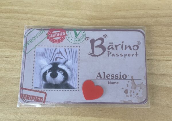 Bärino Waschbär Alessio 9 cm Künstlerbär – Bild 10