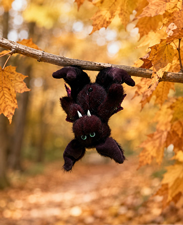 Bärino Fledermaus Baxter 13 cm Künstlerbär – Bild 3