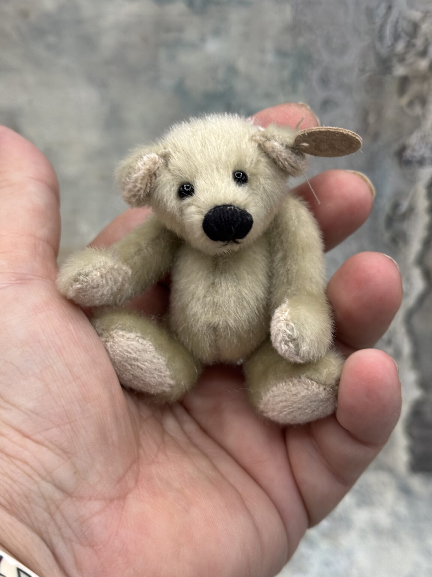 Bärino Bär Toni 8 cm Künstlerbär