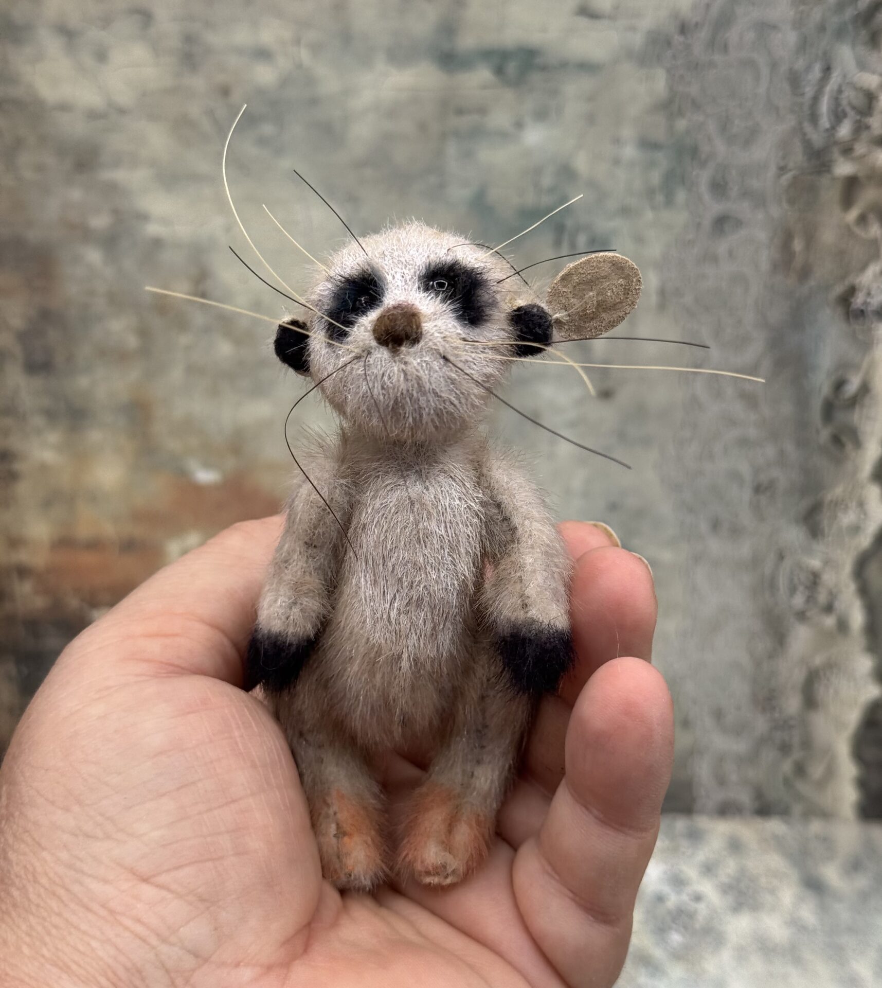 Bärino Erdmännchen Eduard 8 cm Künstlerbär – Bild 7